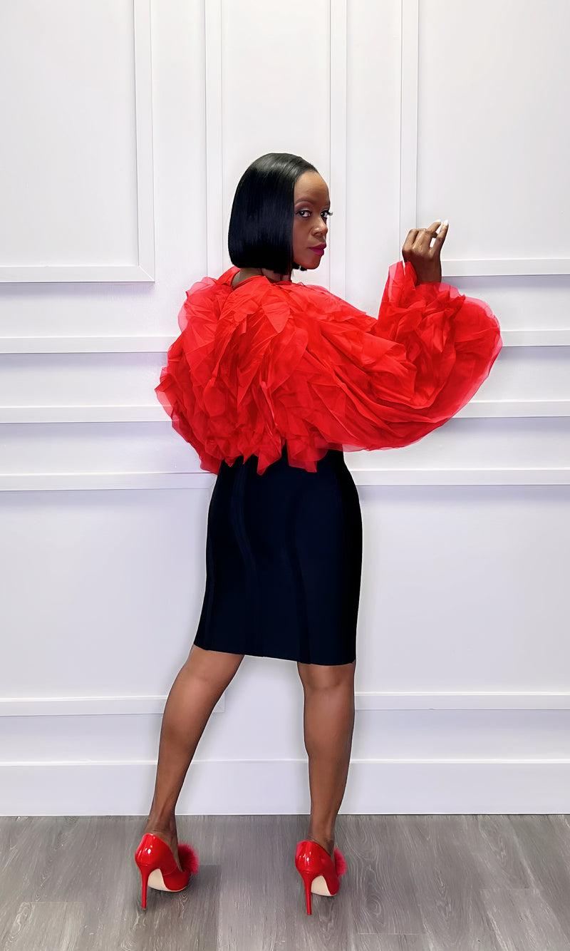 Ruffle My Feathers Red Top